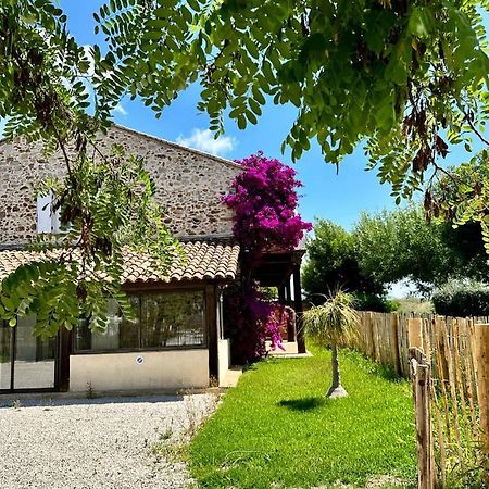 Grand Studio A 5Mns De La Plage Des Salins Йер Экстерьер фото